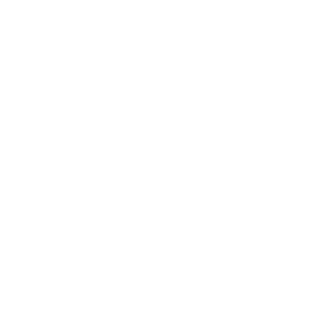 TroBroLion Challenge